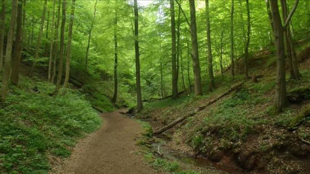 Beletage  Lejlighed Eisenach Eksteriør billede
